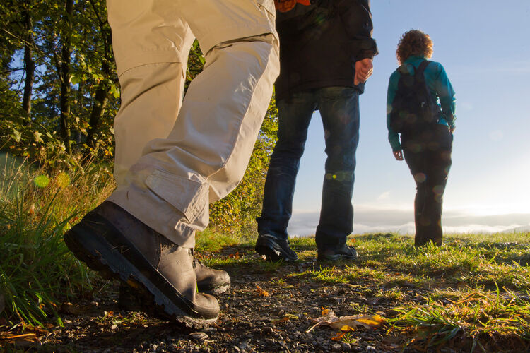 Wandern im Schmallenberger Sauerland 